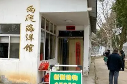 “九斤重大老鼠”身份查清了