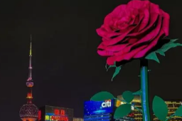 全球庆祝情人节最贵城市上海排第一