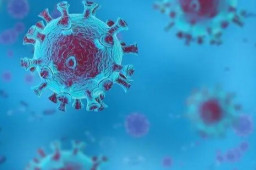 国内首次检出XBB.1.5