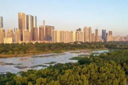 深圳一楼盘送60万首付 已被查处