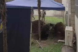 川大校内挖出人的遗体？官方回应