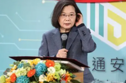 蔡英文财产披露：9块地5944万新台币