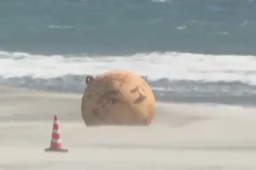 日本海岸现不明球状物：直径1.5米