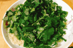 世界讨厌香菜日