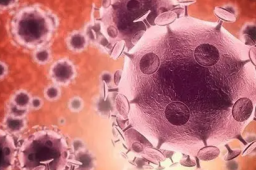 超90%的成人体内有水痘带状疱疹病毒