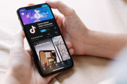 加拿大宣布政府设备禁用TikTok