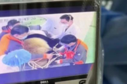 医院有位患者叫熊猫是真熊猫