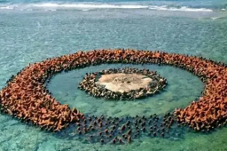 日本为何宣布“多了7000个小岛”