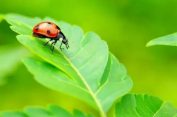 今日惊蛰 春回大地