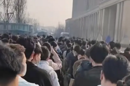 空乘招聘排队7小时面试3分钟