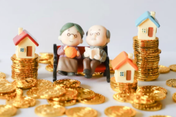 夫妻200万造别墅找陌生人抱团养老