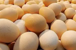 台湾民众买24颗鸡蛋花了400块