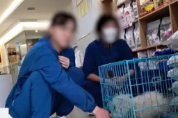 宠物医院收费乱象调查