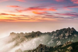 山东或成五一国内游新“顶流”