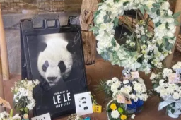 官方：乐乐遗体将用于科学研究