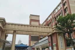 小学生校内被老师碾压致死 校长被免