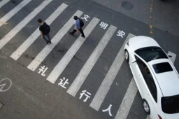 “礼让行人”该不该被取消