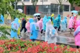 教育局回应小学不让打伞进校