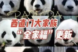 丫丫加入西直门群聊