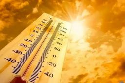 8省份局地最高温或超40℃