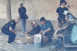 偷杏女子向老人道歉:干的太不是人事