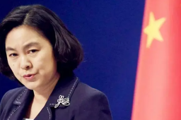 华春莹连发七文谴责美国“甩锅”