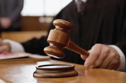 农民日报评村民私自建桥被判刑