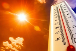 明起正式入伏 5省份局地达40℃以上