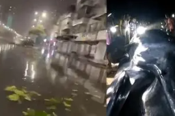 台风泰利登陆：鲸鱼被冲上岸引围观