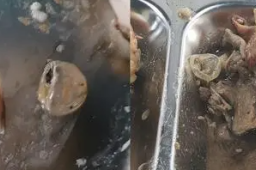 食堂吃出避孕套？校方：鸭子眼球膜