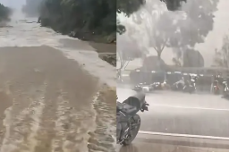 网友喊话杜苏芮别下了：这都成河了