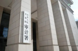 审计署赴广东调查:药企套取资金40亿