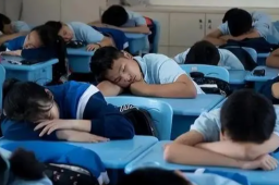 学生趴桌午休也收费 官方：收费合理