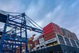 中国市场是“必选项”