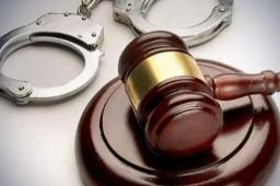 南方电网半年56人主动投案