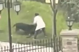 央媒评女童被咬：狗主人须绳之以法
