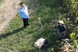 河南执法人员伙同村民偷红高粱被拘