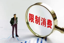 法院将2名未成年人纳入限高名单公告