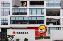 疑被辛巴大主播逼宫 辛选CEO离职