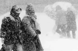 多地暴雪+寒潮+冰冻预警齐发
