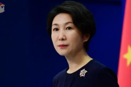 菲防长称总统被侮辱 中方回击