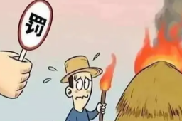 不让烧秸秆 看守干部餐费花10多万