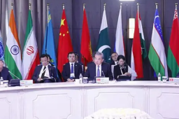 王毅：赖清德之流背叛民族和祖先